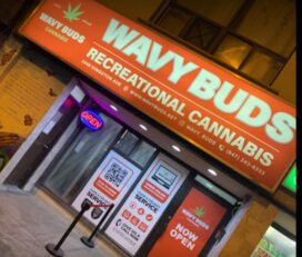 Wavy Buds Recreational Cannabis – Toronto