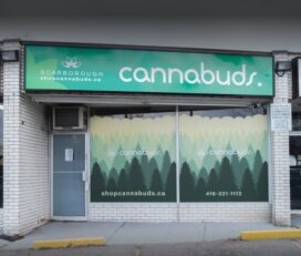 Cannabuds – Scarborough