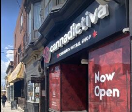 Cannadictiva – Toronto