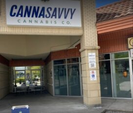 Cannasavvy – Windsor