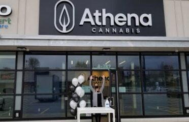 Athena Cannabis – Ottawa