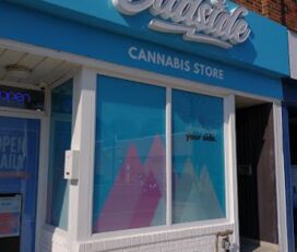 Budside Cannabis Store – Toronto