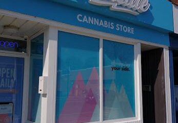 Budside Cannabis Store – Toronto