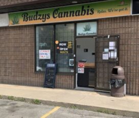 Budzys Cannabis Store – Hamilton