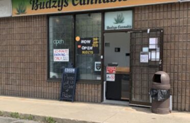 Budzys Cannabis Store – Hamilton