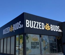 Buzzed Buds – Pickering