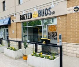 Buzzed Buds – Uxbridge