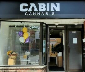 Cabin Cannabis – Toronto