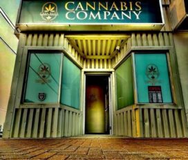 Casa Bliss Cannabis – Timmins