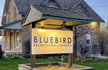 BlueBird Cannabis – Kanata North