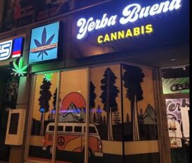 Yerba Buena Cannabis – East York