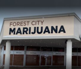 Forest City Marijuana – London