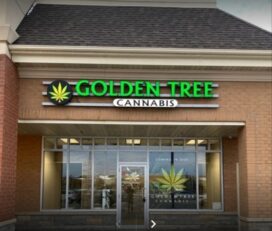 Golden Tree Cannabis – Brampton