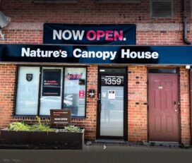 Nature’s Canopy House – East York