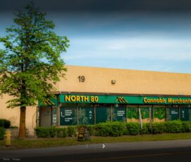 North 80 Cannabis – Toronto