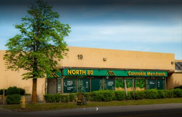 North 80 Cannabis – Toronto