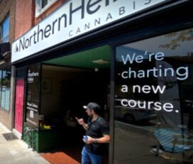 Northern Helm Cannabis – Toronto