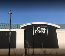 One Plant Cannabis – Brampton