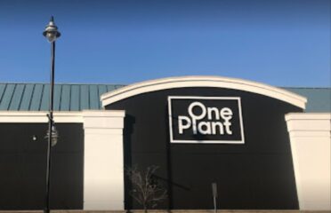 One Plant Cannabis – Brampton