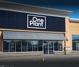 One Plant Cannabis – Orleans, Ottawa