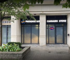 Paradise AIR Cannabis – Toronto