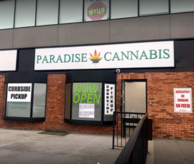 Paradise Cannabis – Fort Erie