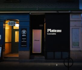 Plateau Cannabis – Ottawa