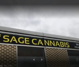 Sage Cannabis – Brampton