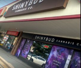 Shiny Bud Cannabis – Ottawa