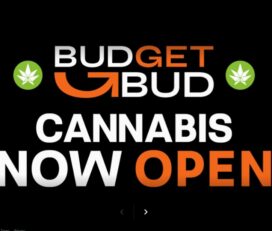 Budget Bud – Oshawa