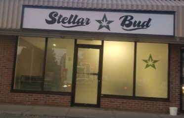 Stellar Bud – Woodstock