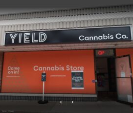 Yield Cannabis Co. – Sarnia