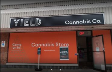 Yield Cannabis Co. – Sarnia