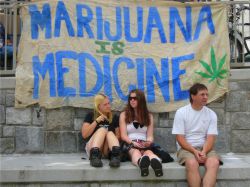 Best mail order marijuana MOM Canada