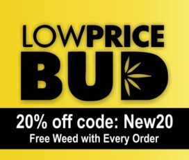Low Price Bud Direct