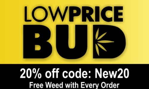 Highs, Low Prices – Low Price Bud Delivers!