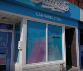 Budside Cannabis Store – Toronto