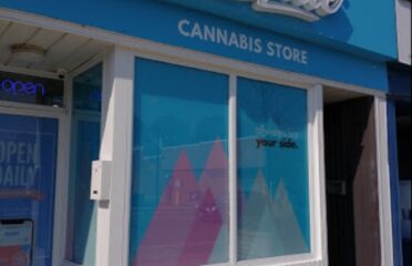 Budside Cannabis Store – Toronto