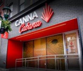 Canna Cabana – Parliament Street, Toronto