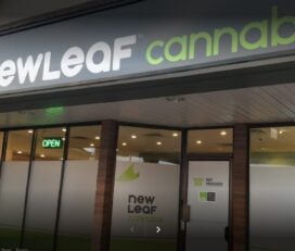 Canna Cabana – Deer Valley, Calgary