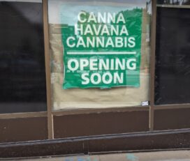 Canna Havana – Cambridge