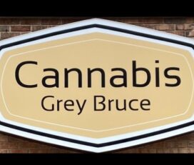 Cannabis Grey Bruce – Rockford