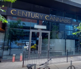 Century Cannabis – Toronto