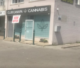 Club Canapa Cannabis – North York