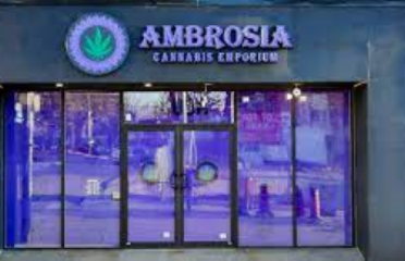 Ambrosia Cannabis Emporium on Queen St W