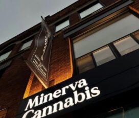 Minerva Cannabis Bathurst