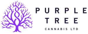 Purple Tree Cannabis store Toronto