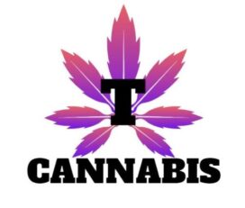 T Cannabis – Tottenham