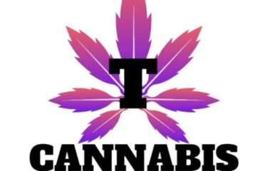 T Cannabis – Hearst