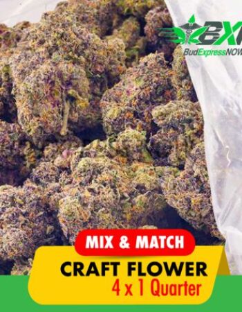 BXN Bud Express Now With Reviews